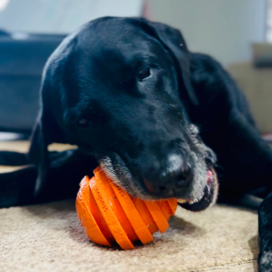 Sliced Orange – Vibrant Natural Rubber Enrichment & Chew Toy