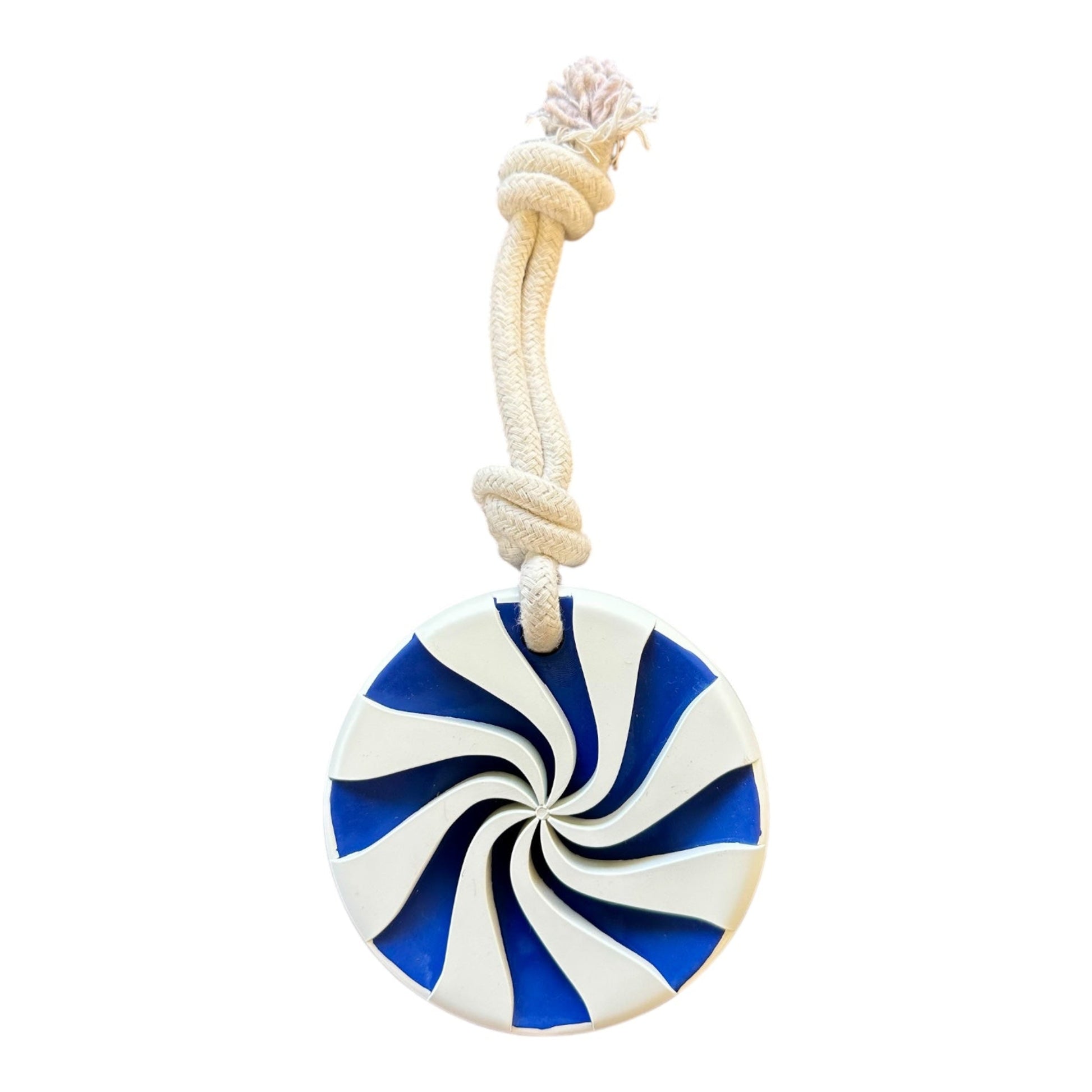 Blue and white rubber lollypop dog toy with a white rope.